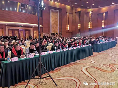 贏戰2019蕾丝视频污下载四川新品發布會暨核心經銷商峰會圓滿成功