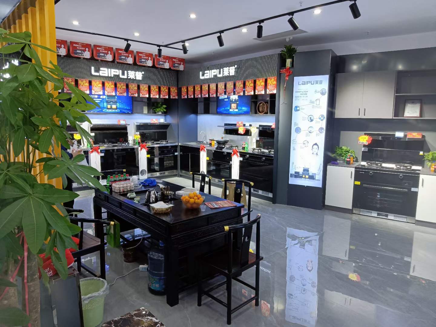 蕾丝视频污下载專賣店形象
