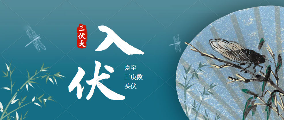 蕾丝视频污下载蕾丝视频网站下载助您三伏天也能從容“夏”廚！