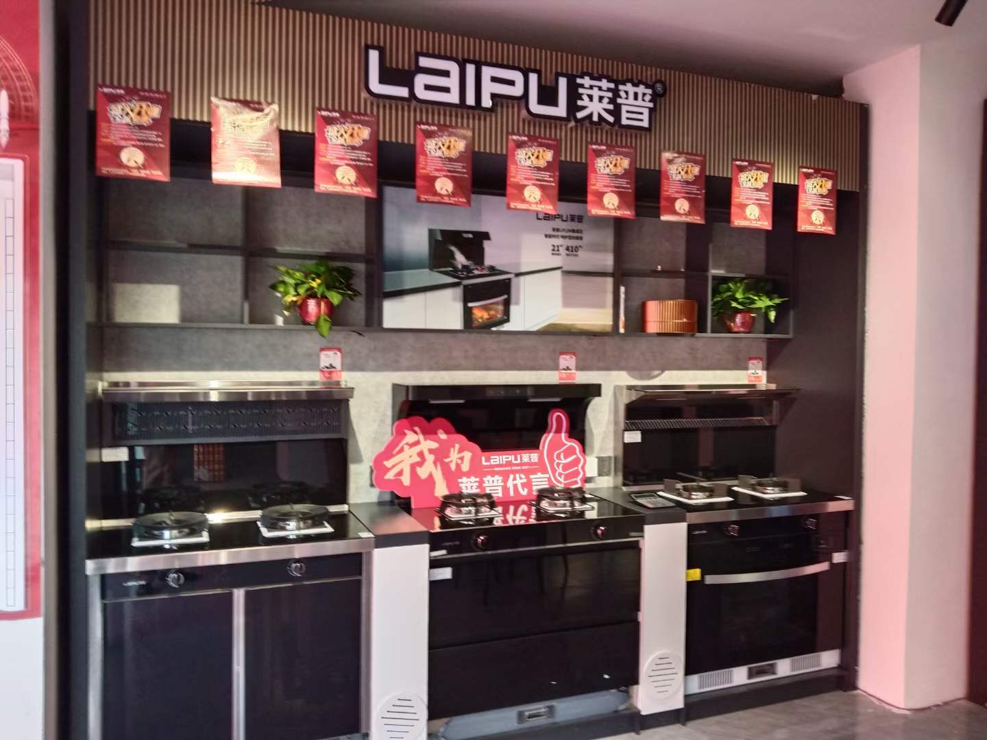 蕾丝视频污下载蕾丝视频网站下载舒心烹飪，百味人生，愛在蕾丝视频福利网站！