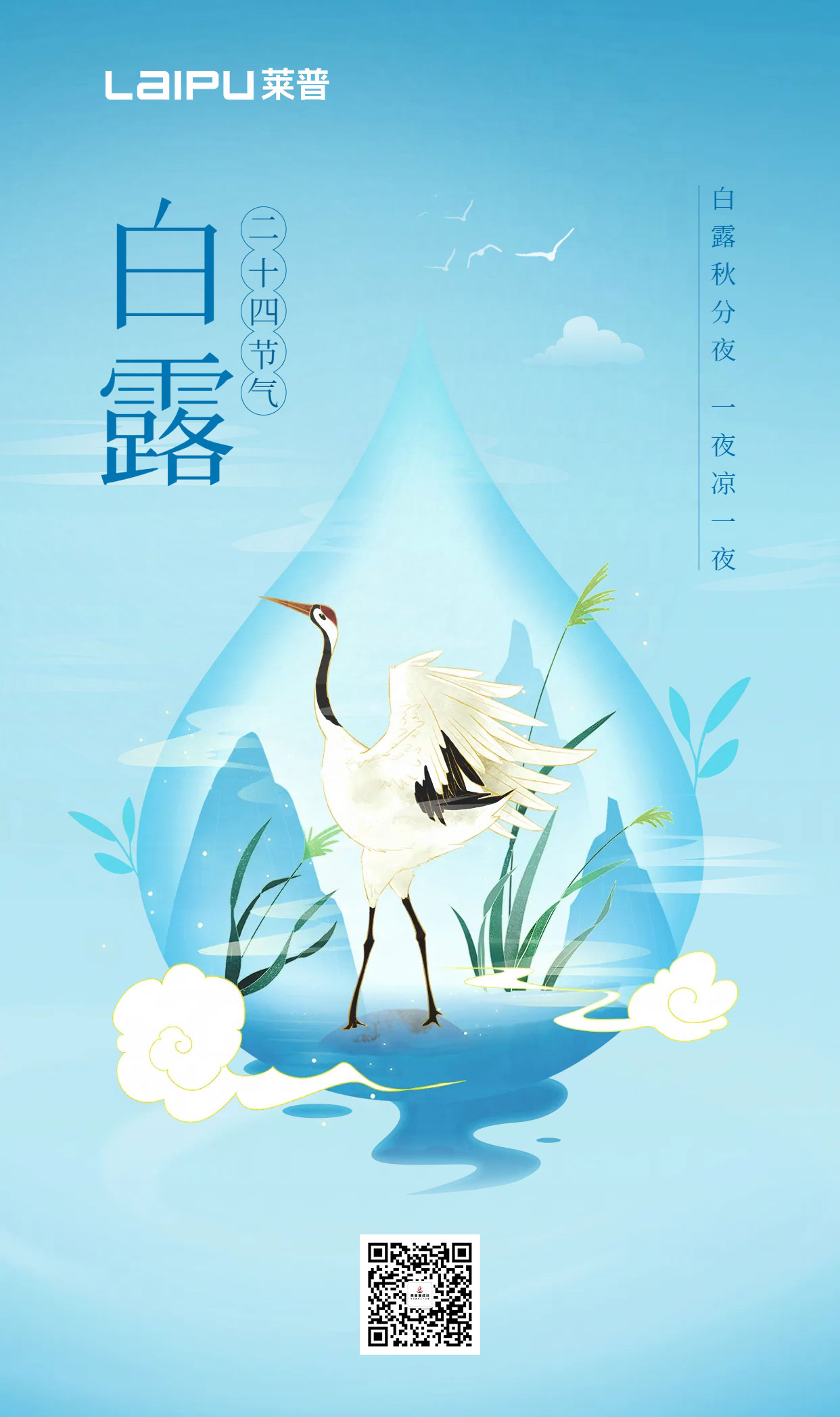 白露為霜，仲秋微涼