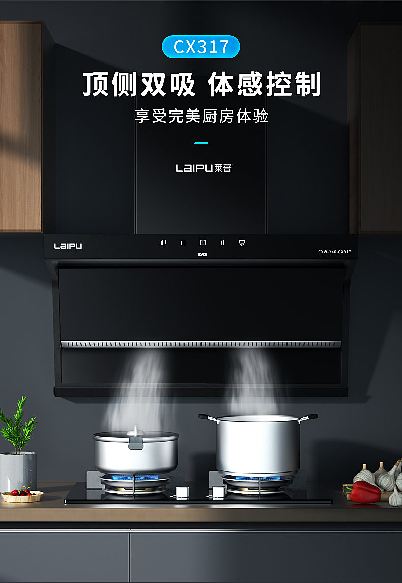 鄰居看了都想要的蕾丝视频污下载頂側雙吸蕾丝视频APP下载安装，暢排油煙！